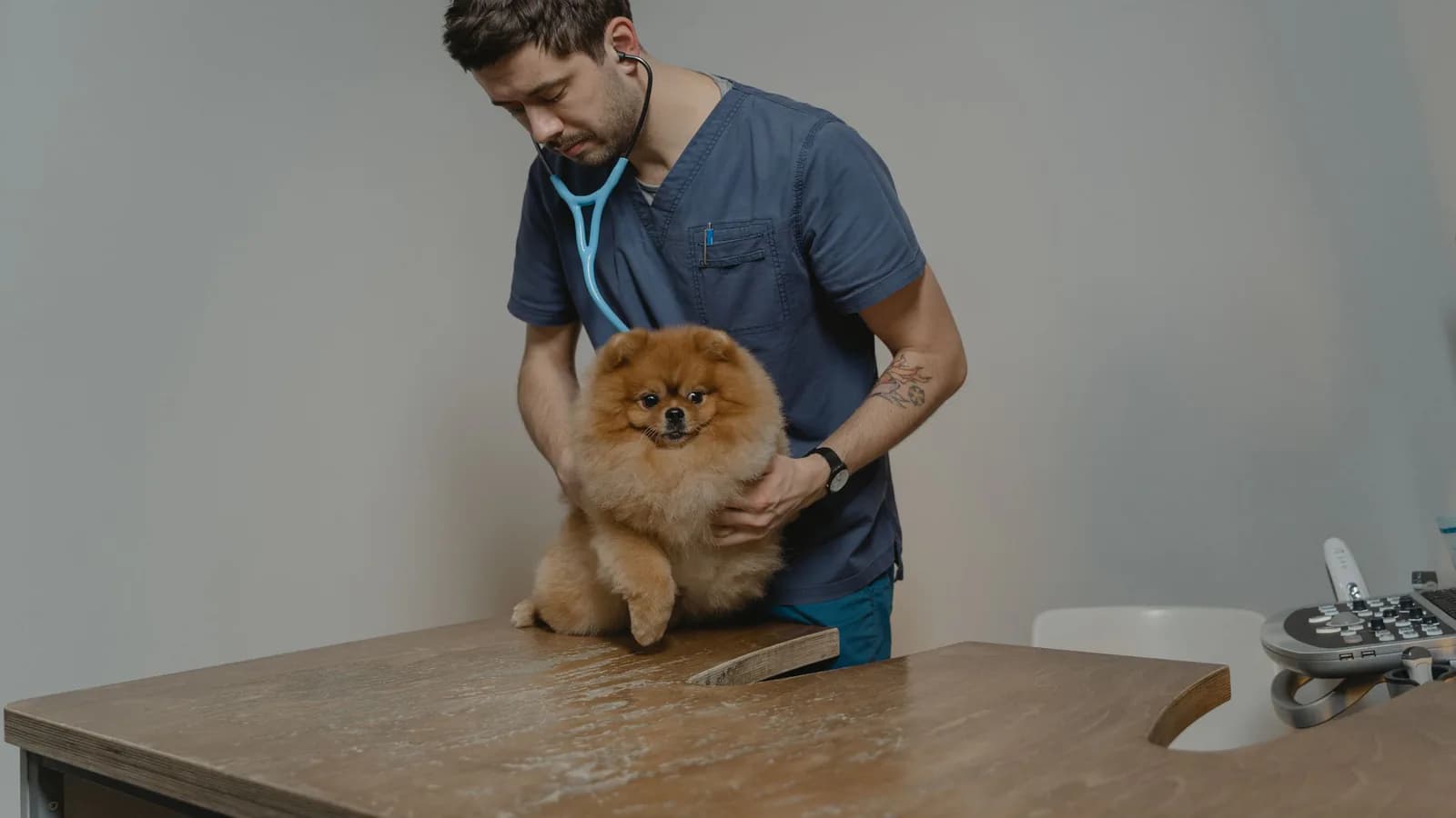Cómo franquiciar una clínica veterinaria
