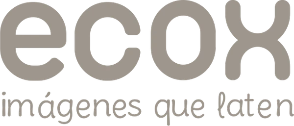Logo de la franquicia Ecox 4D