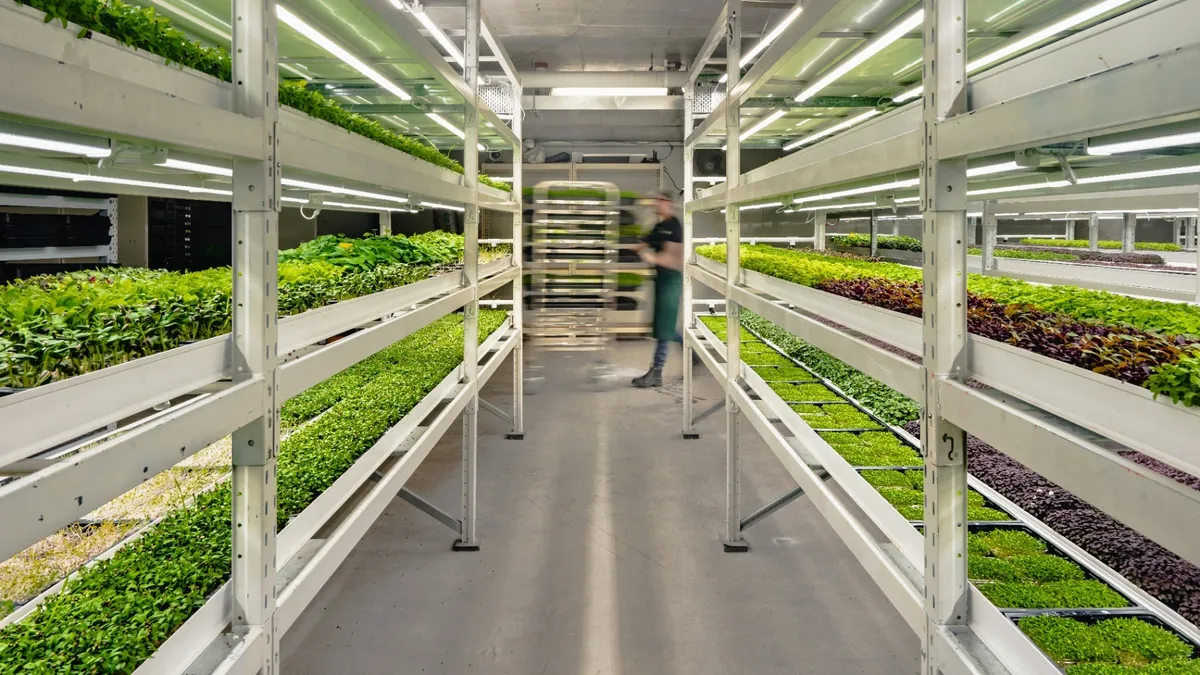 Franquicia Green Space - Servicios a Domicilio y Empresas - ZonaFranquicia