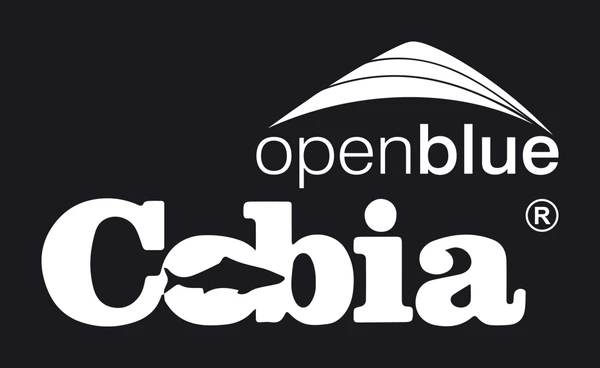 Logo de la franquicia Open Blue