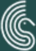 Logo de la franquicia Recovery Spain