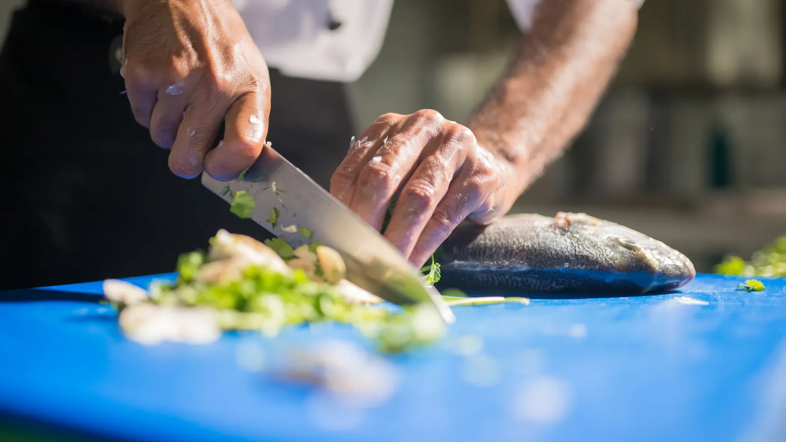 Franquicias de producto fresco: por qué hornear, cocinar o preparar a diario cambia las reglas del… | ZonaFranquicia Elaboración de producto fresco a diario en el obrador de un negocio de restauración | ZonaFranquicia